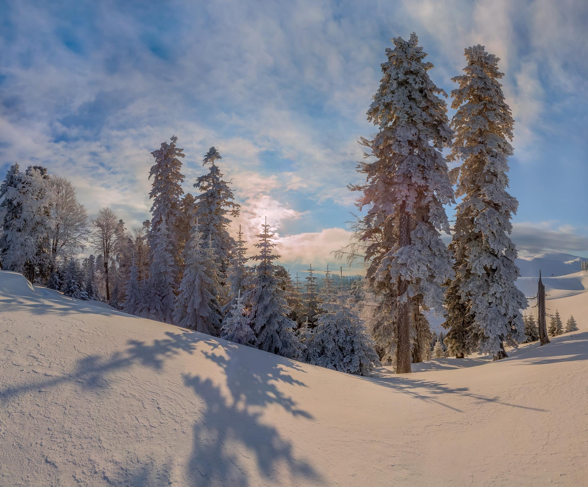 Тени на снегу - интерьерная фотокартина