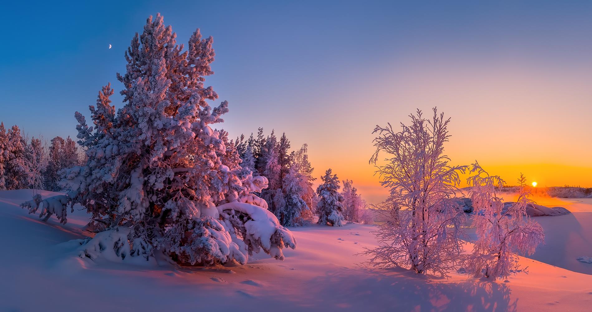 Ладожская зима - интерьерная фотокартина
