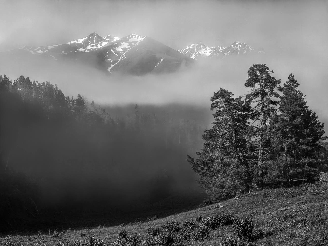 Туманный пейзаж 2 - интерьерная фотокартина