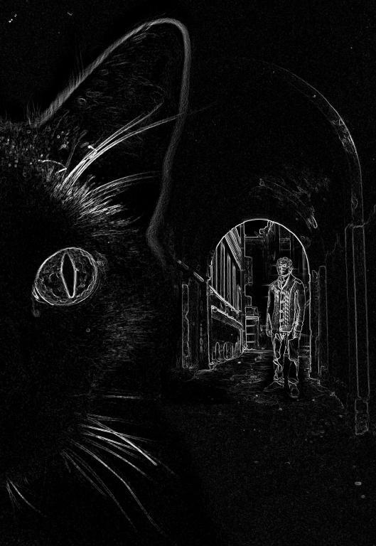Черный кот - интерьерная фотокартина