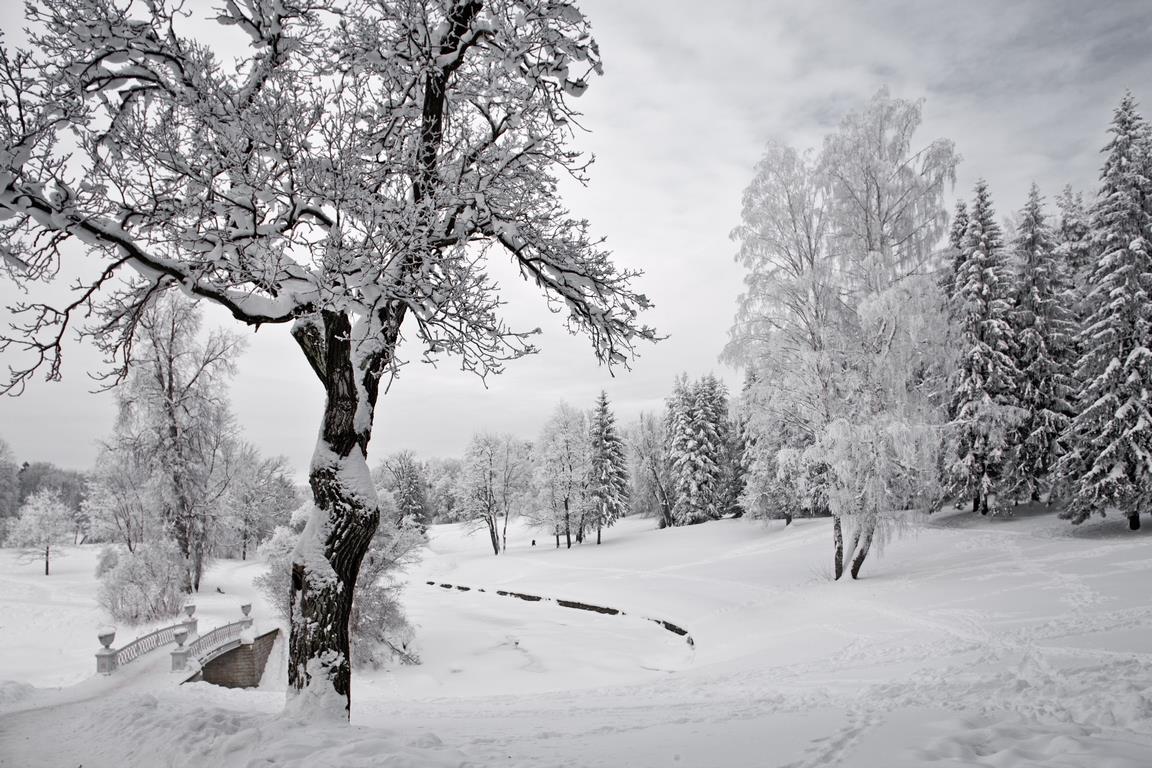 Зимний Павловск 1 - интерьерная фотокартина