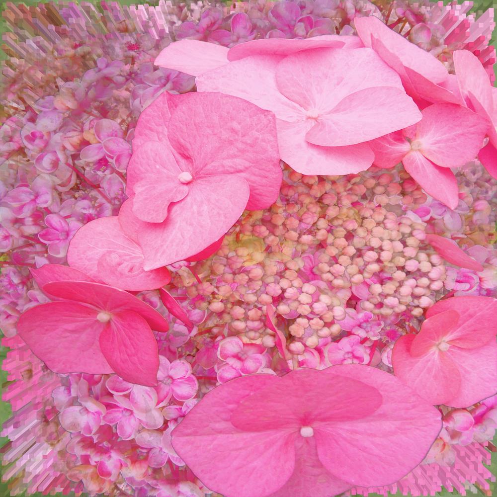 Flower Fountain 20 - интерьерная фотокартина