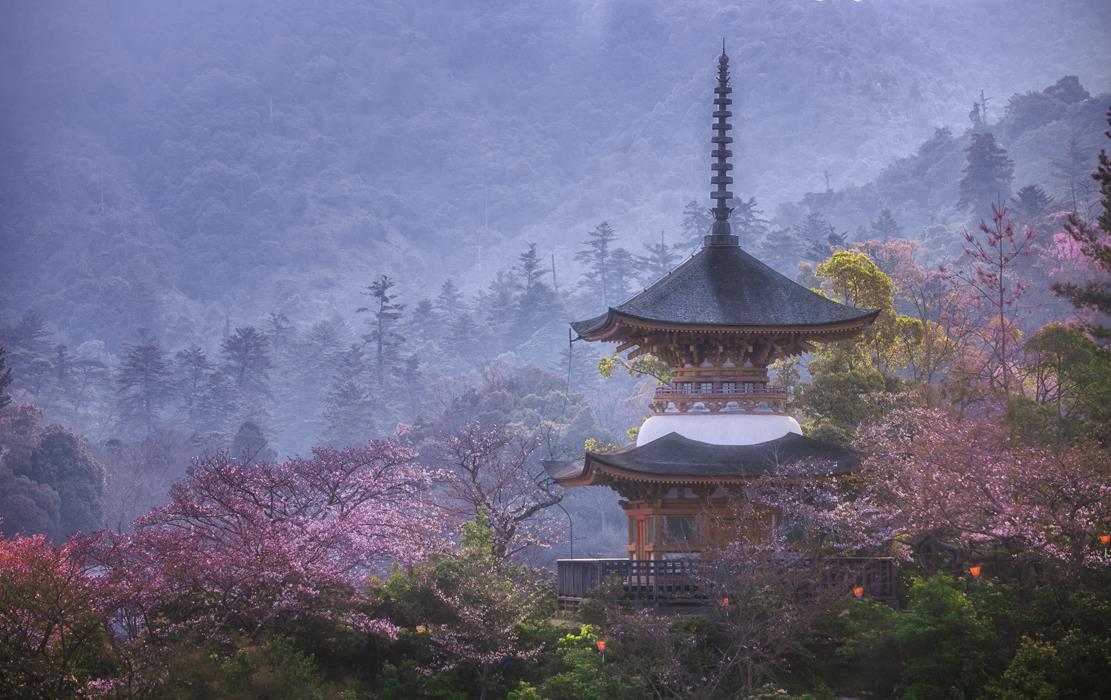 Башня Тахото - интерьерная фотокартина