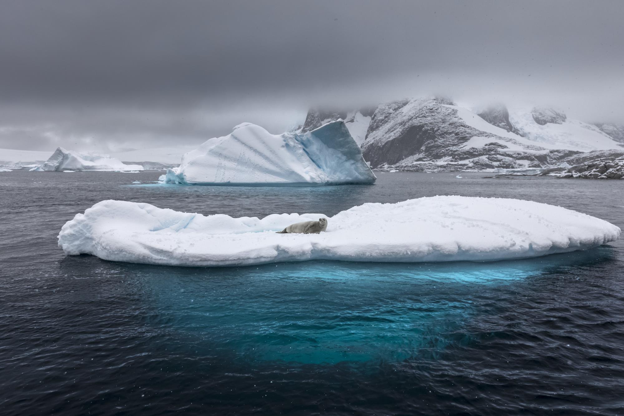 Льды Антарктиды - интерьерная фотокартина