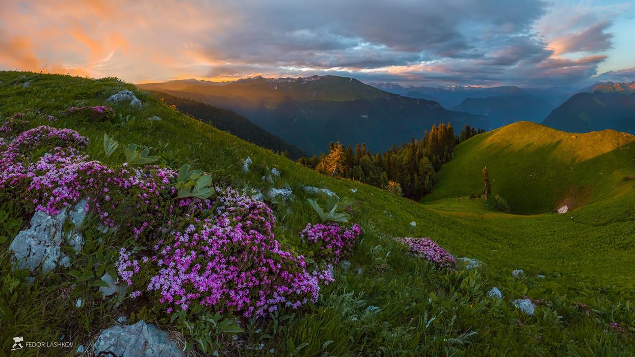 Альпийские луга Абхазии - интерьерная фотокартина