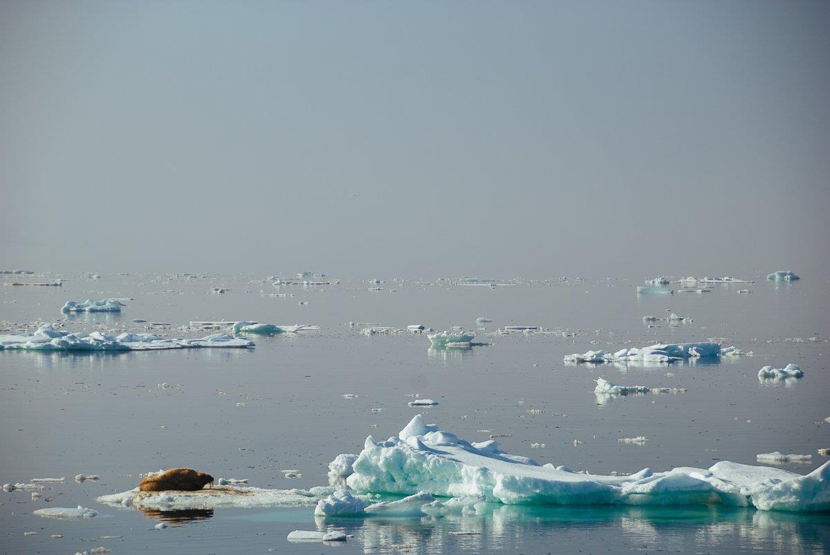Арктические пейзажи 19 - интерьерная фотокартина