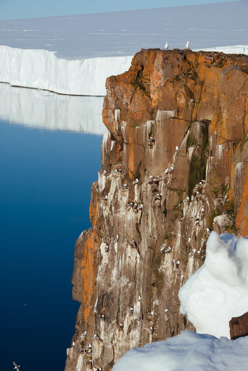 Арктические пейзажи 36 - интерьерная фотокартина