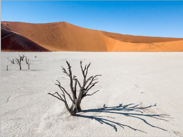 Мертвая долина в Намибии - интерьерная фотокартина