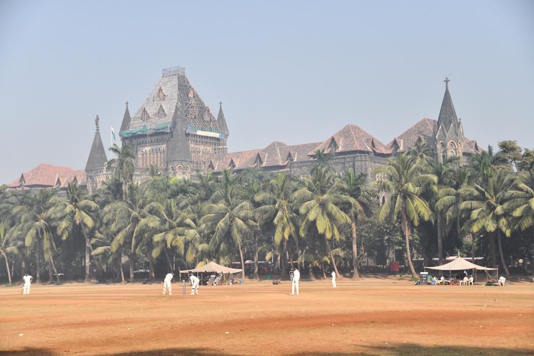 Крикет в Мумбаи - интерьерная фотокартина