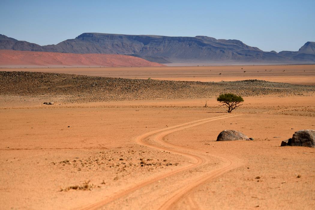 хайвей в пустыне - интерьерная фотокартина