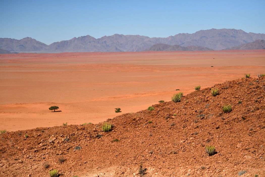 Пустыня Намиб 3 - интерьерная фотокартина