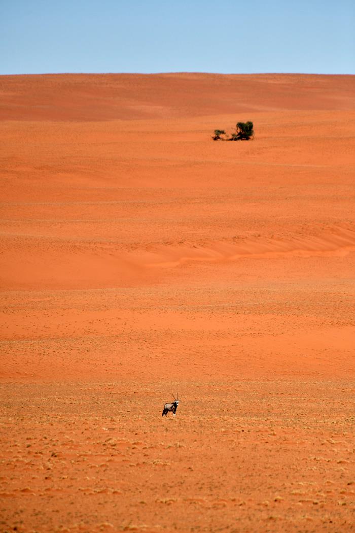 Пустыня Намиб 1 - интерьерная фотокартина