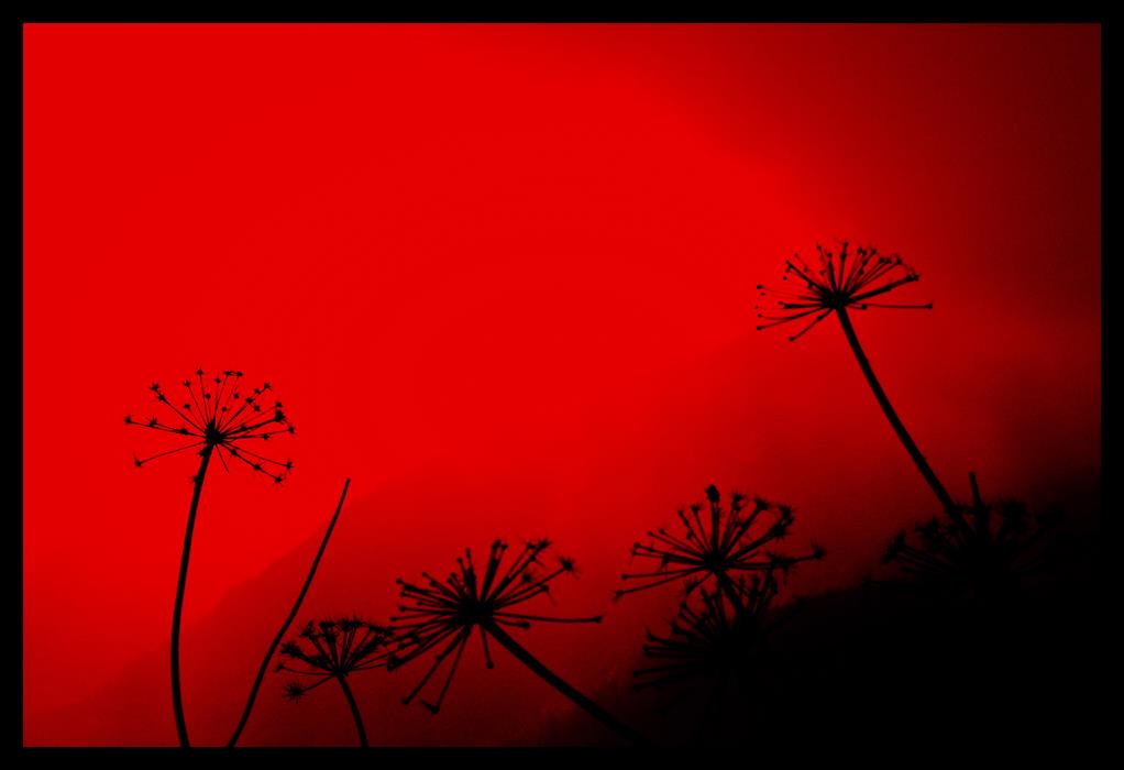 Фотокартина Пейзаж в красных тонах