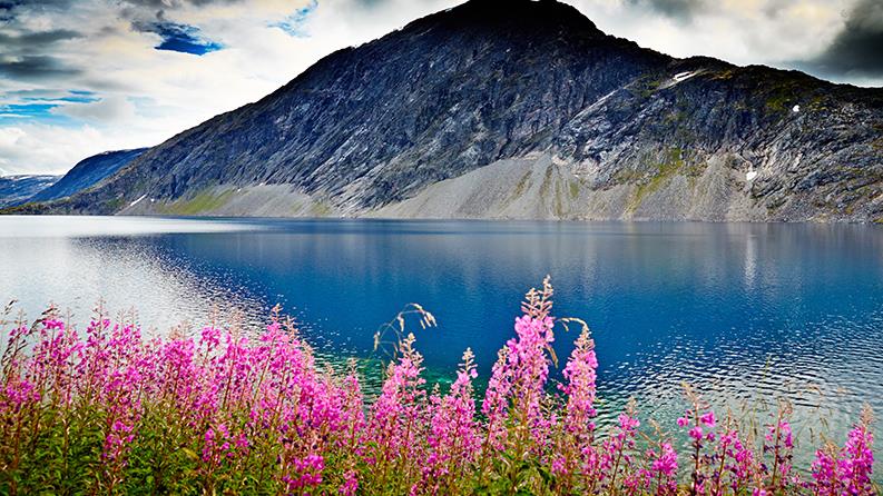 Норвежский пейзаж 3 - интерьерная фотокартина