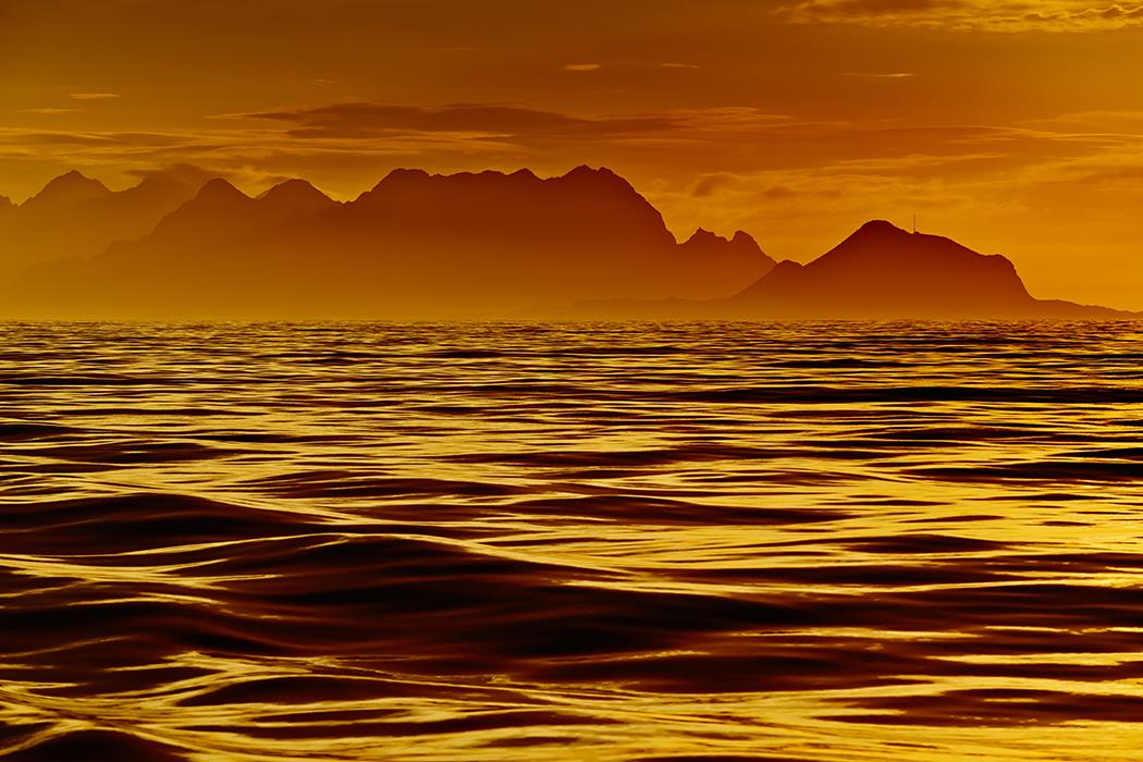 Фотокартина Золотое море в Хеннигсвер 2