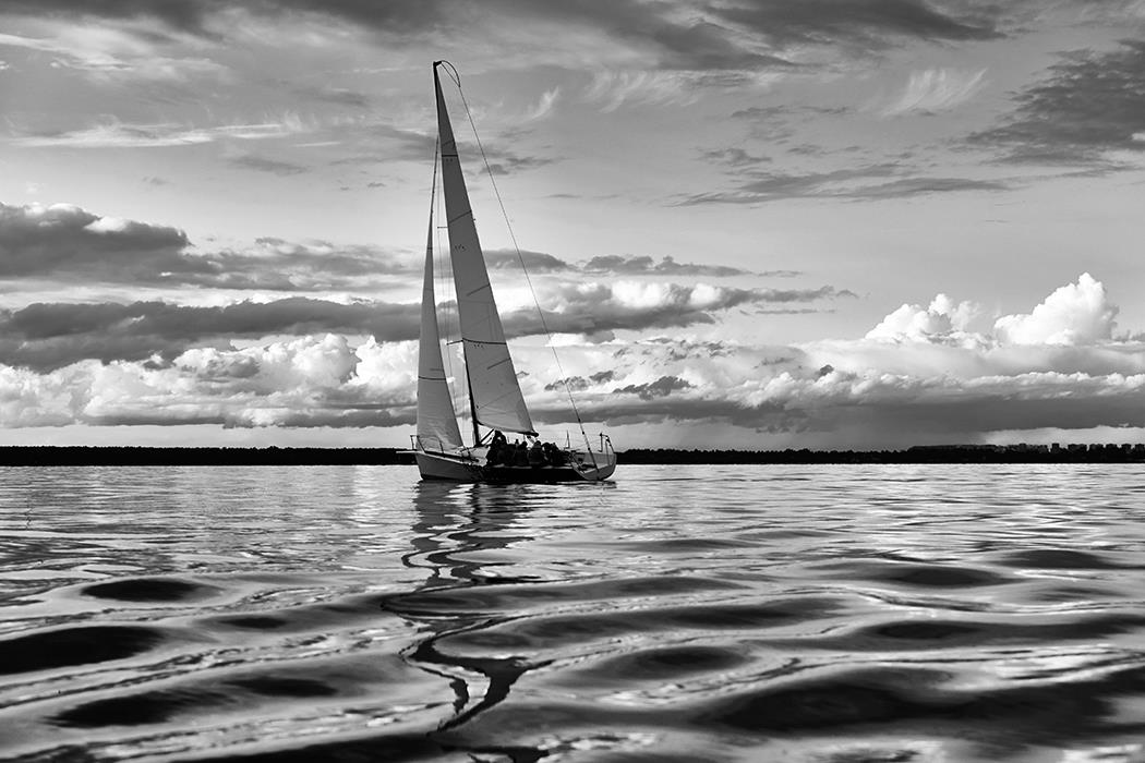 Sail Regatta 2 - интерьерная фотокартина