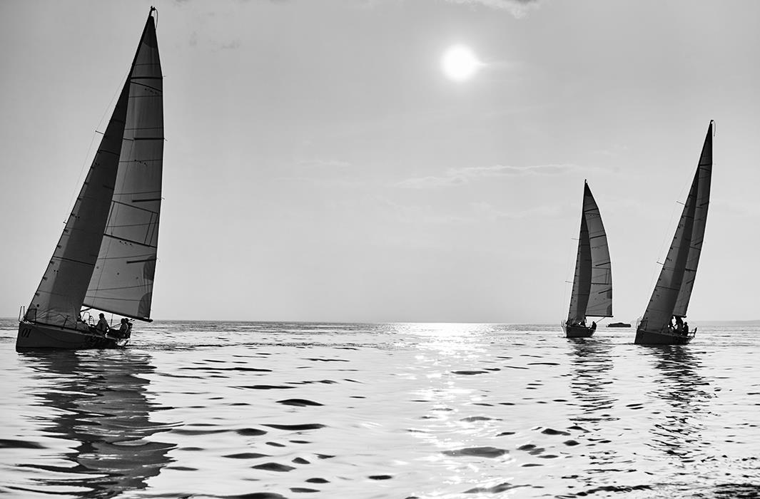 Sail Regatta 9 - интерьерная фотокартина