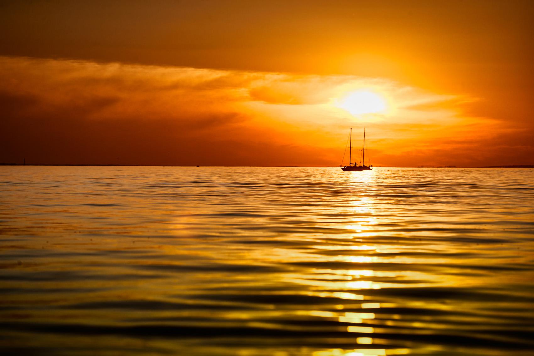 Фотокартина Sail Regatta 38