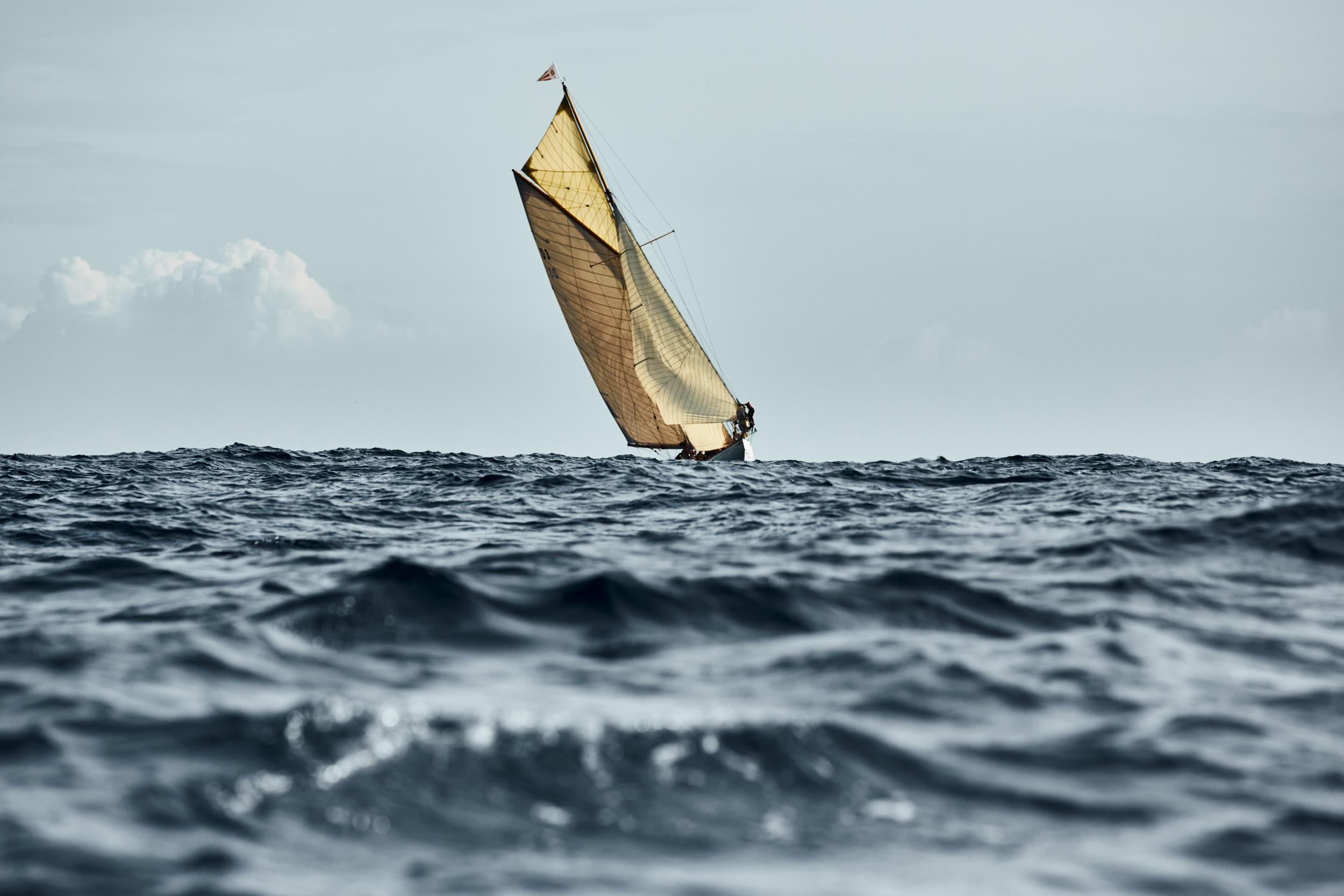 Sail Regatta 44 - интерьерная фотокартина