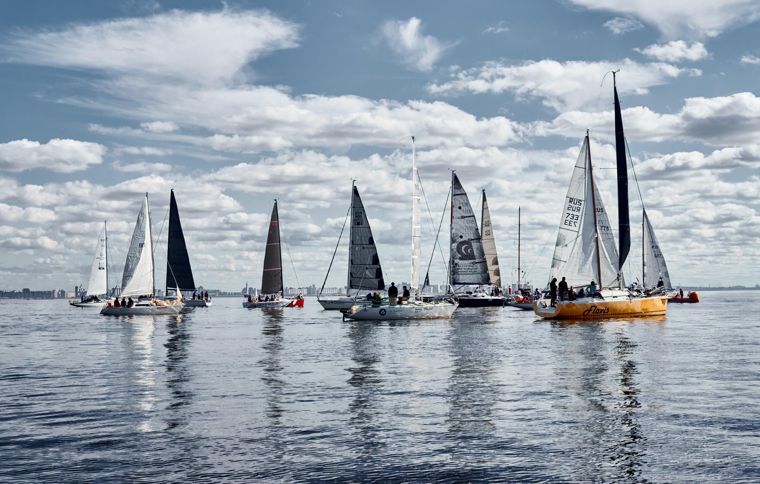 Фотокартина Sail Regatta 50