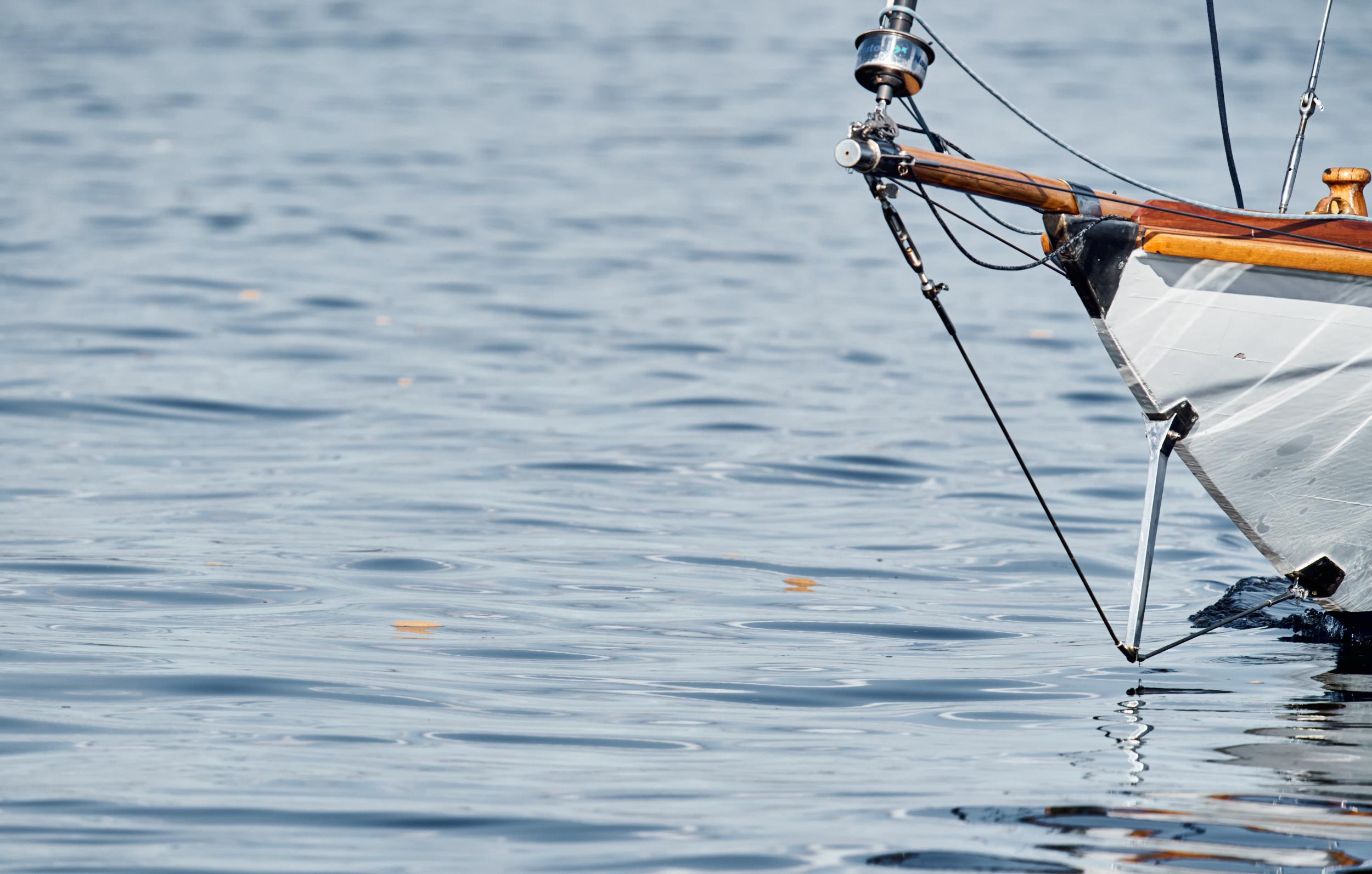 Фотокартина Sail Regatta 51