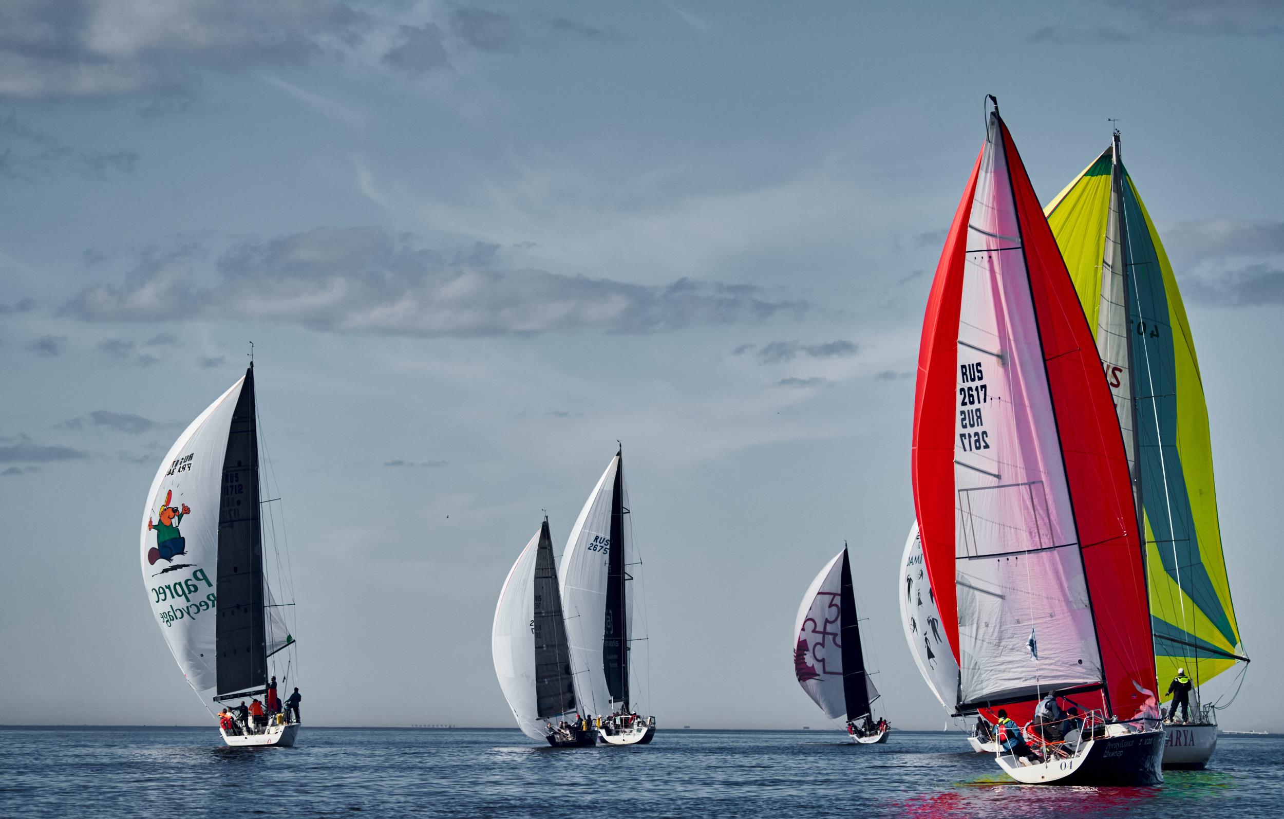 Sail Regatta 54 - интерьерная фотокартина