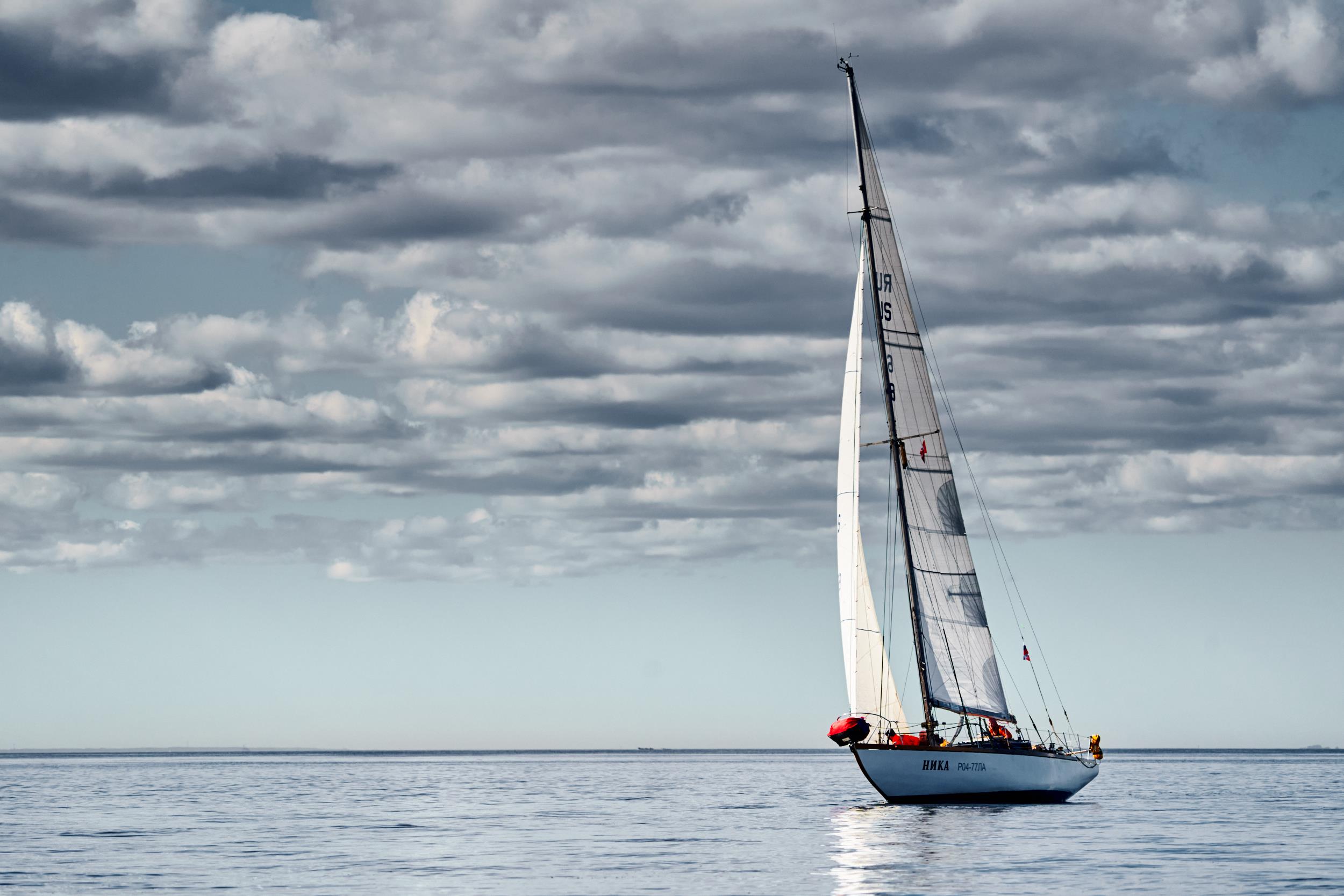 Sail Regatta 56 - интерьерная фотокартина