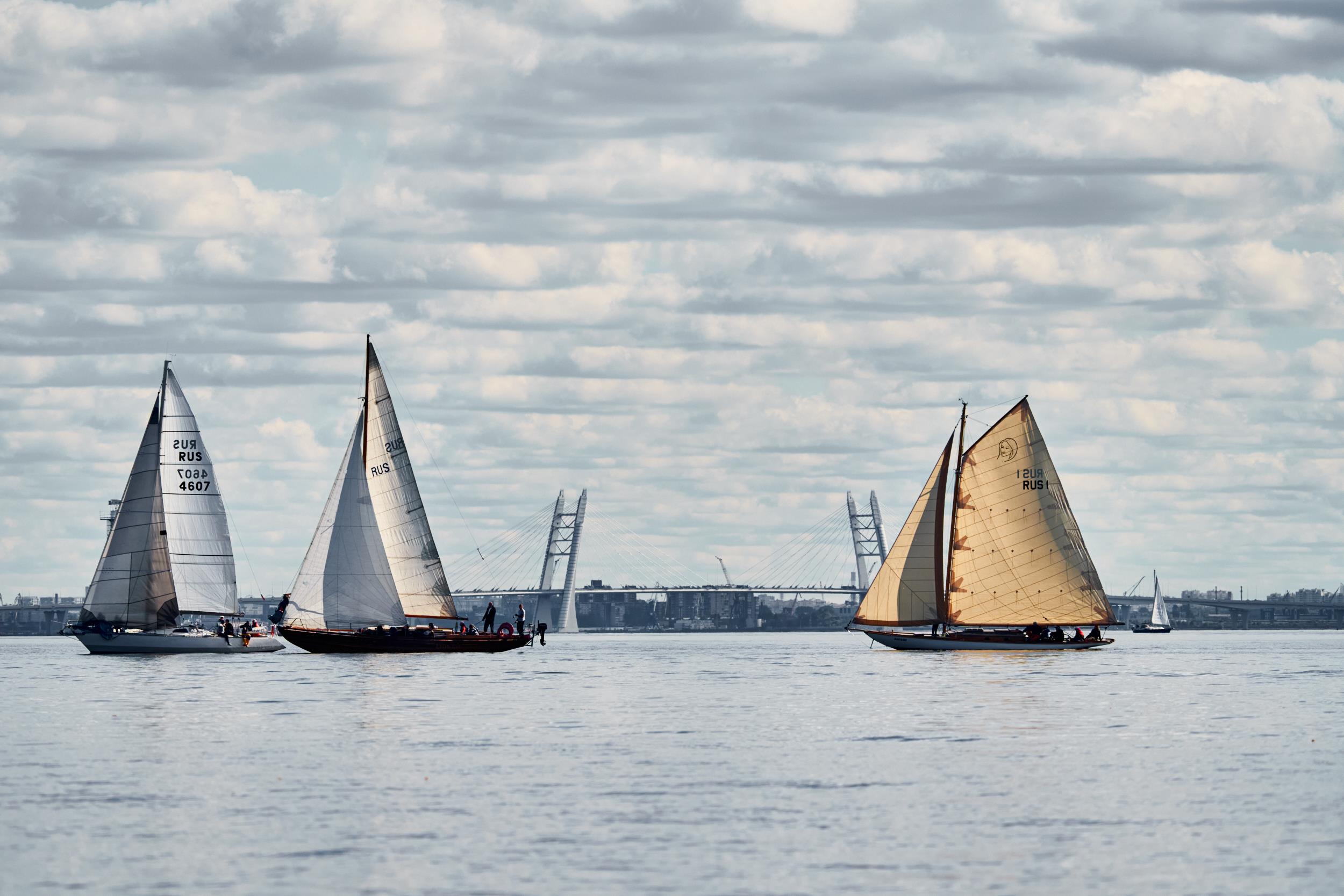 Sail Regatta 59 - интерьерная фотокартина