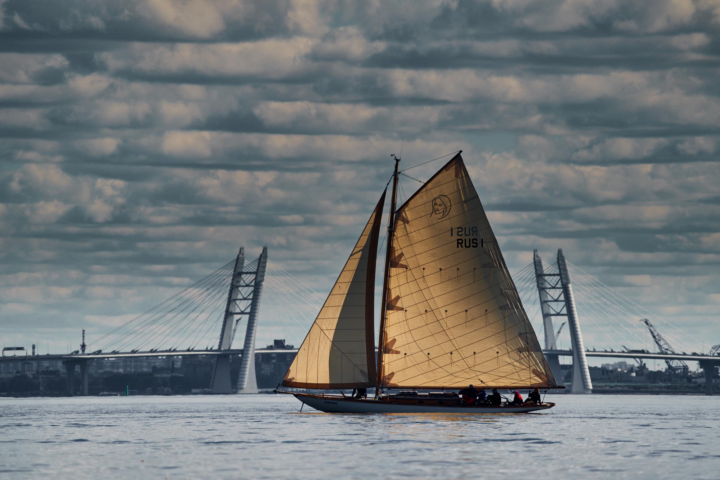 Фотокартина Sail Regatta 60