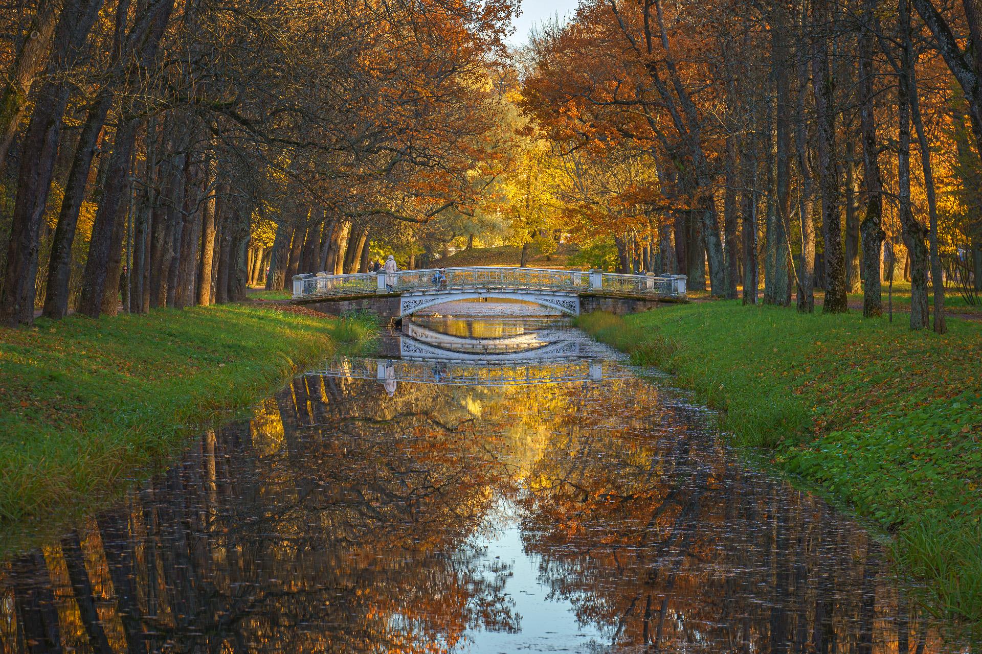 В парке - интерьерная фотокартина